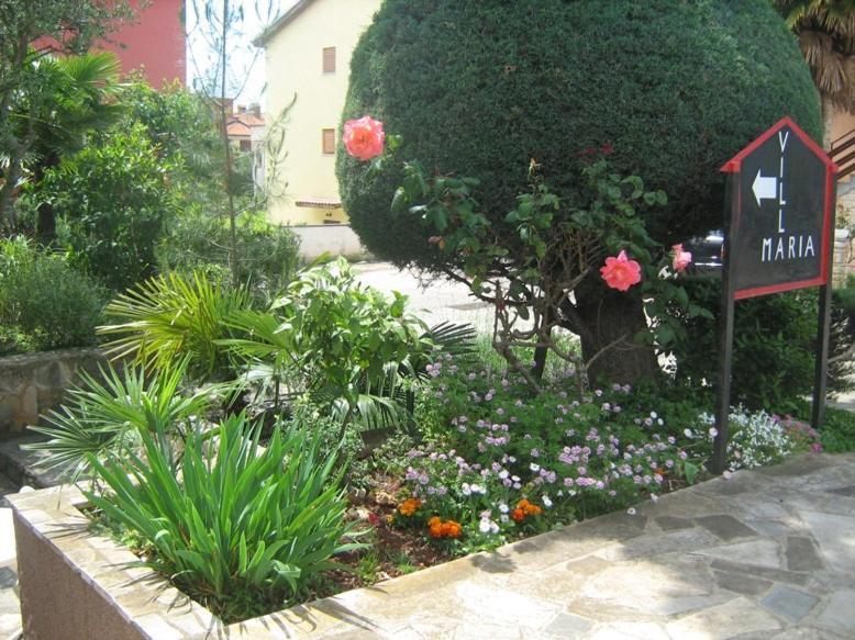 Villa Maria Novigrad  Exterior photo