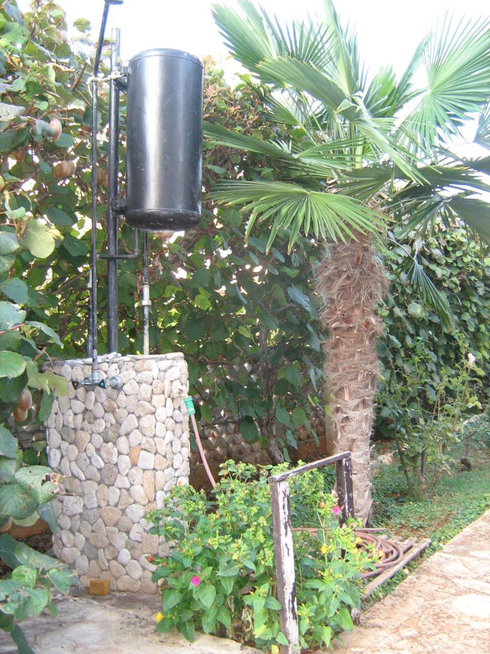 Villa Maria Novigrad  Exterior photo