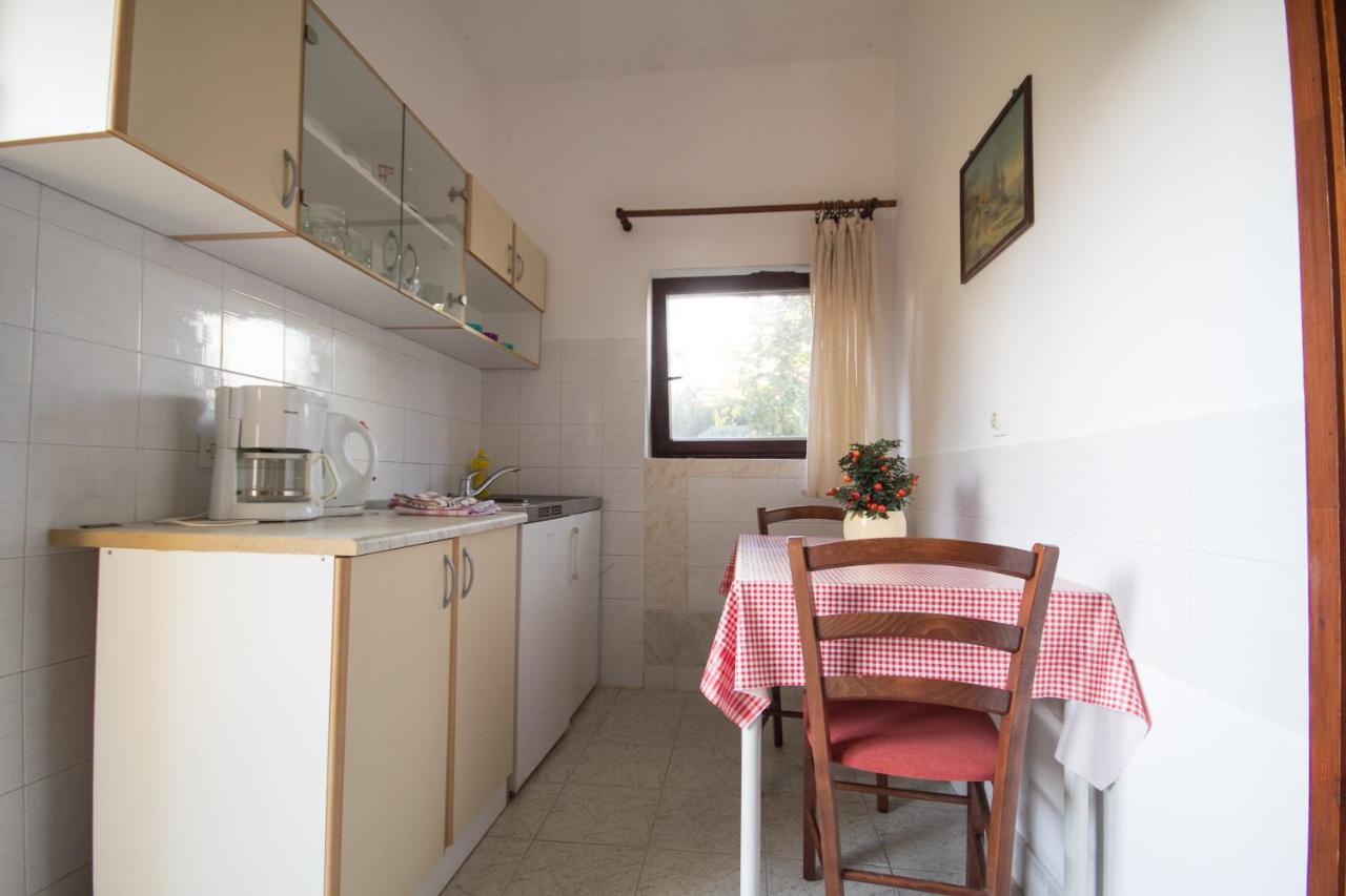 Villa Maria Novigrad  Exterior photo