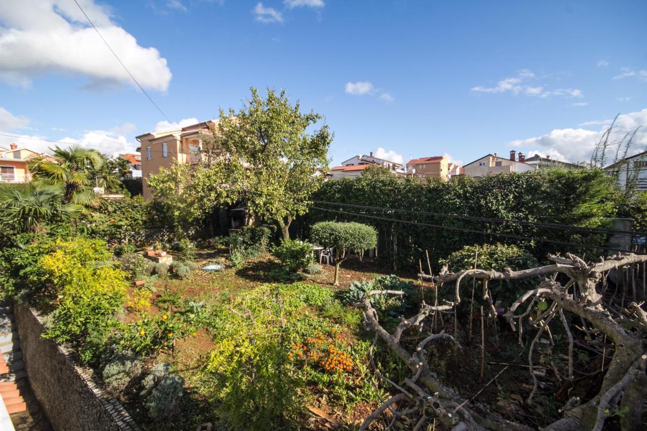 Villa Maria Novigrad  Exterior photo